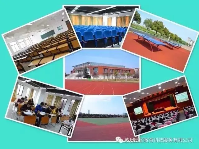 小学篮球训练总结范文图片_1